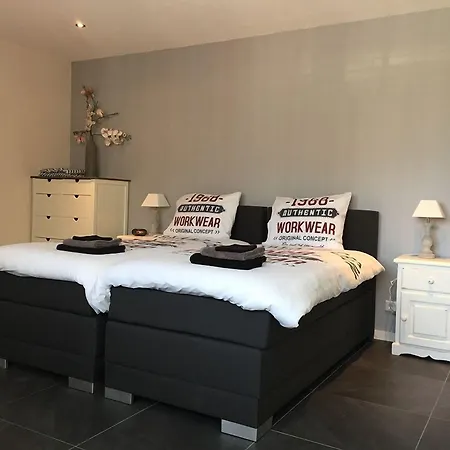 Boerderij De Waard 3* אנה פאולואונה