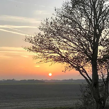 Bed & Breakfast Boerderij De Waard 3*