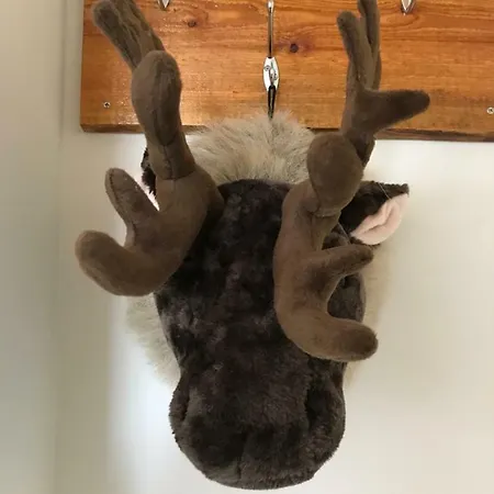 Bed & Breakfast Boerderij De Waard