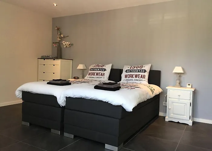 Boerderij De Waard 3* אנה פאולואונה