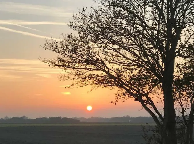 Bed & Breakfast Boerderij De Waard