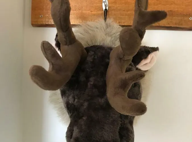 Frühstückspension Boerderij De Waard